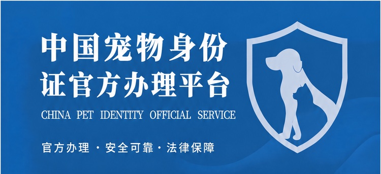 中国宠物身份证官方办理平台